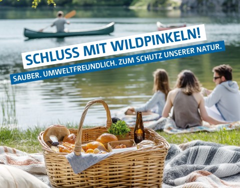 Sanierung